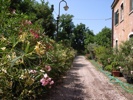 R0012160